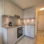 Topaze.2 Apartment Anzere